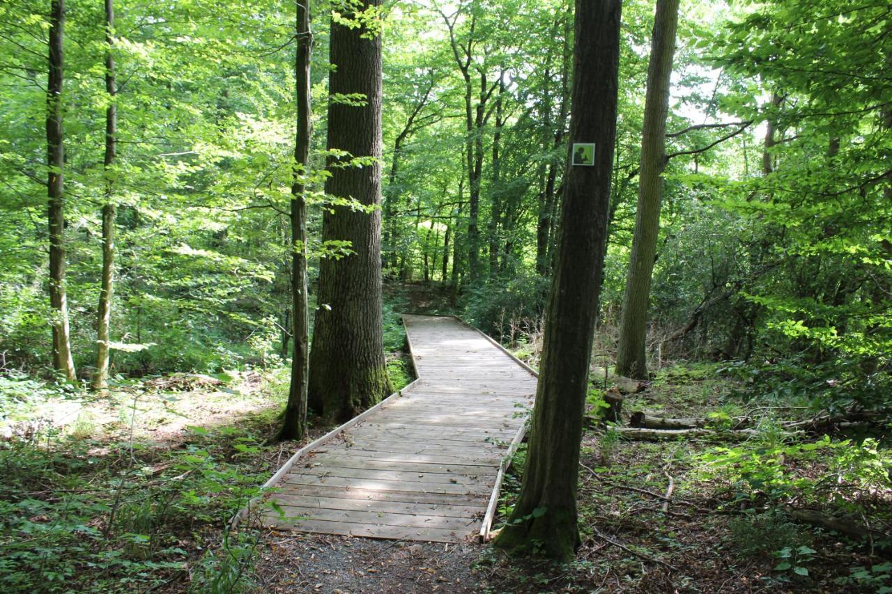 Ferienwohnung Forellenhof Oberschwarzach 外观 照片