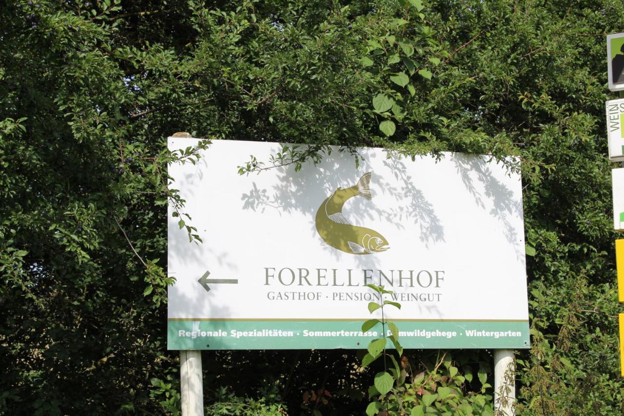 Ferienwohnung Forellenhof Oberschwarzach 外观 照片