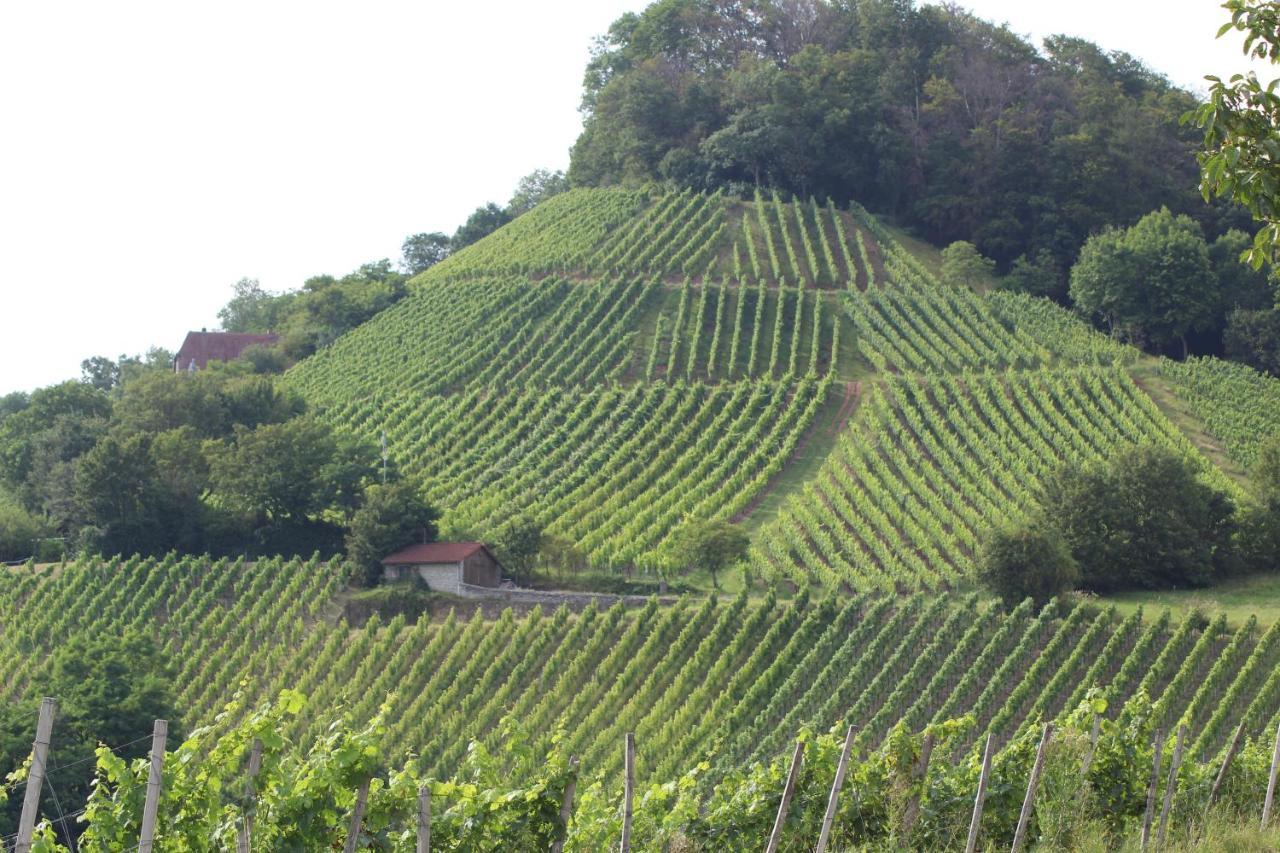 Ferienwohnung Forellenhof Oberschwarzach 外观 照片